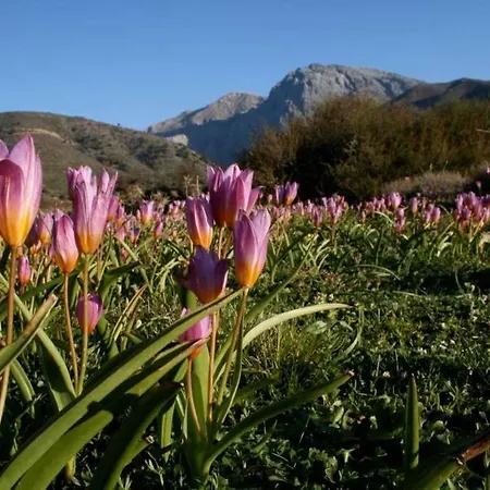 Greece By Myseasight Вилла Херсониссос