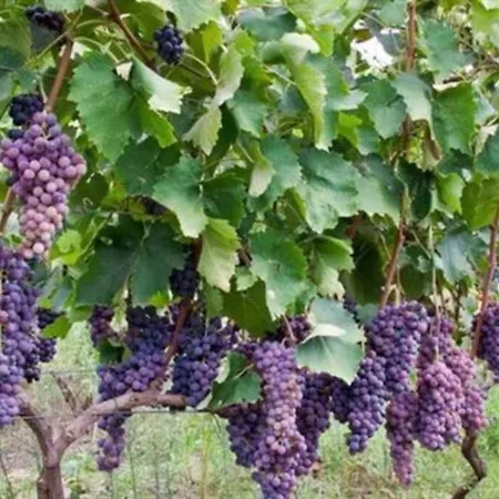 Greece By Myseasight Вилла *