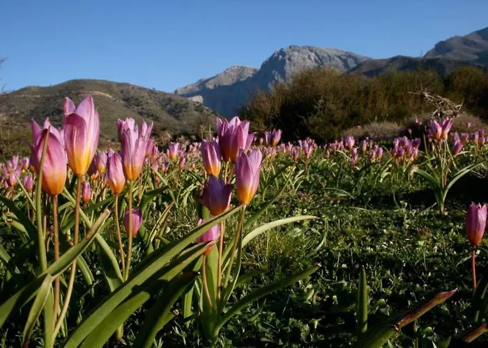 Greece By Myseasight Villa Herszonisszosz