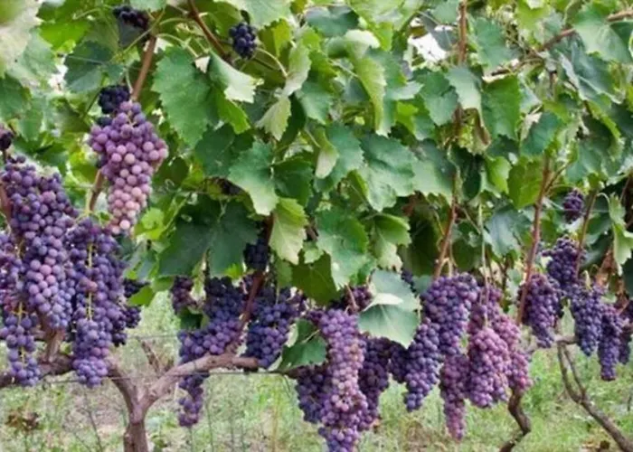 Greece By Myseasight Willa *